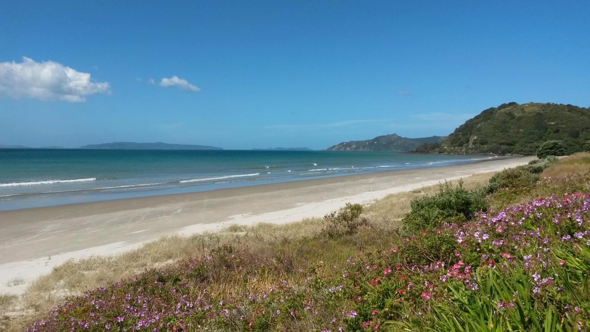 Bed and Breakfast Waimaire Matarangi Экстерьер фото